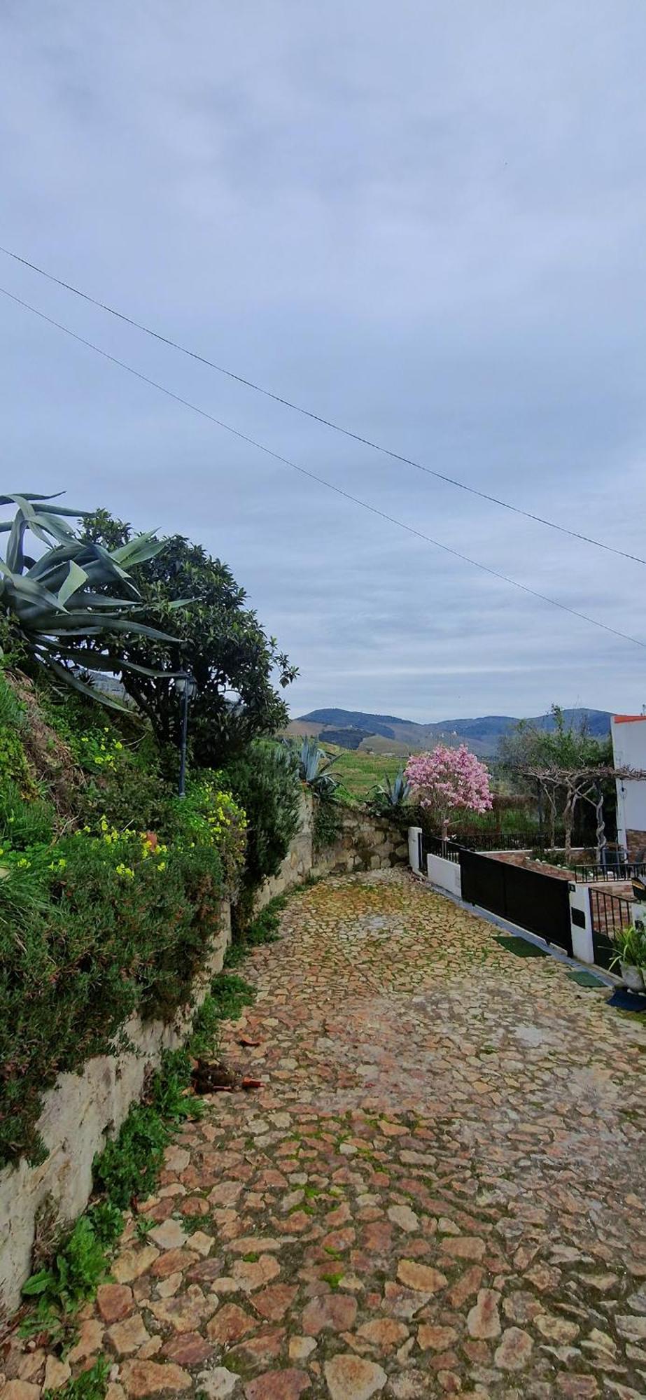 핀하오 Casa Rodrigues 빌라 외부 사진